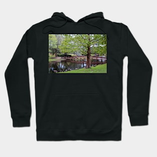 Park Geese Hoodie